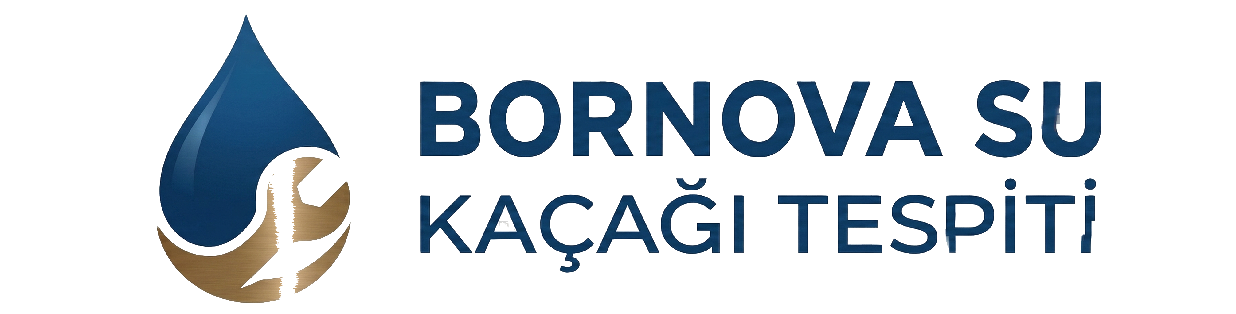 Bornova Su Kacagi Tespiti